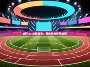 威尔士-战胜捷克，晋级欧洲杯预选赛